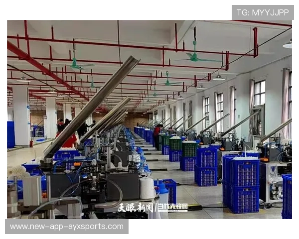 羽毛球技术支持平台建设与产业链协同