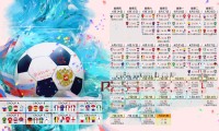 足球场馆智慧安检的设备选型与投标要点，足球场安保